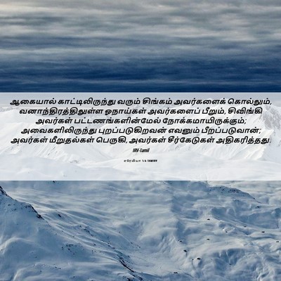 Picture 06 - எரேமியா 5:6 TAMIRV - ஆகையால் - Bible Verse Picture
