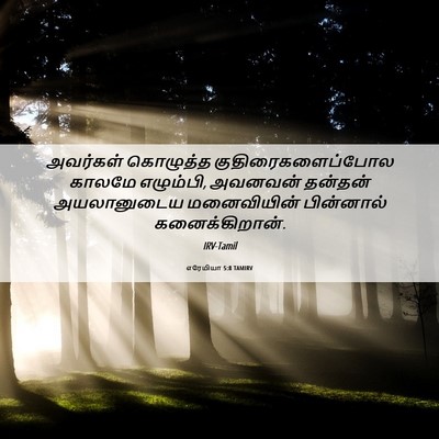 Picture 06 - எரேமியா 5:8 TAMIRV - அவர்கள் கொழுத்த - Bible Verse Picture