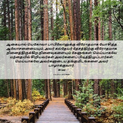 Picture 06 - எரேமியா 50:45 TAMIRV - ஆகையால் யெகோவா - Bible Verse Picture