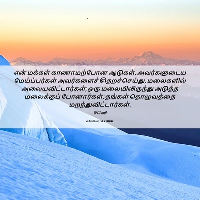 Picture 06 - எரேமியா 50:6 TAMIRV - என் மக்கள் - Bible Verse Picture