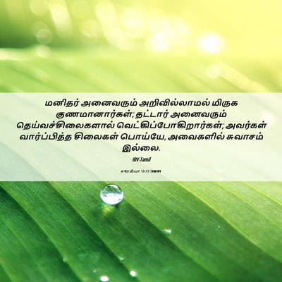 Picture 06 - எரேமியா 51:17 TAMIRV - மனிதர் அனைவரும் - Bible Verse Picture