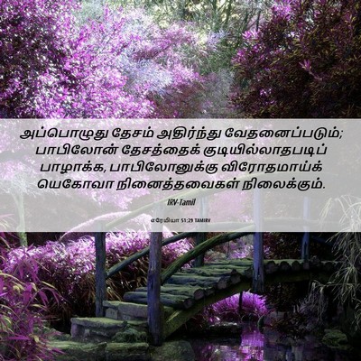 Picture 06 - எரேமியா 51:29 TAMIRV - அப்பொழுது தேசம் - Bible Verse Picture