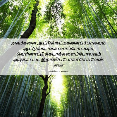 Picture 06 - எரேமியா 51:40 TAMIRV - அவர்களை - Bible Verse Picture
