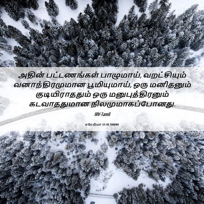 Picture 06 - எரேமியா 51:43 TAMIRV - அதின் பட்டணங்கள் - Bible Verse Picture