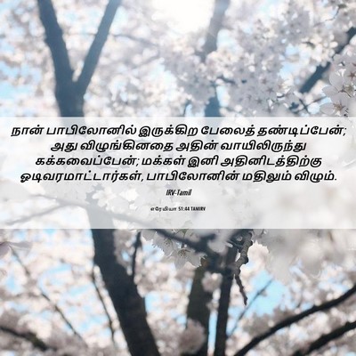 Picture 06 - எரேமியா 51:44 TAMIRV - நான் பாபிலோனில் - Bible Verse Picture