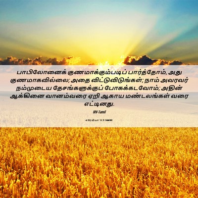 Picture 06 - எரேமியா 51:9 TAMIRV - பாபிலோனைக் - Bible Verse Picture