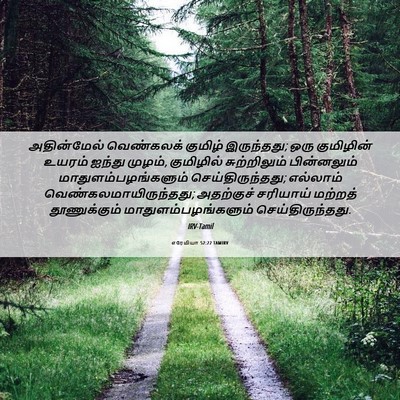 Picture 06 - எரேமியா 52:22 TAMIRV - அதின்மேல் - Bible Verse Picture