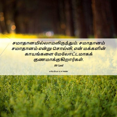 Picture 06 - எரேமியா 6:14 TAMIRV -  - Bible Verse Picture
