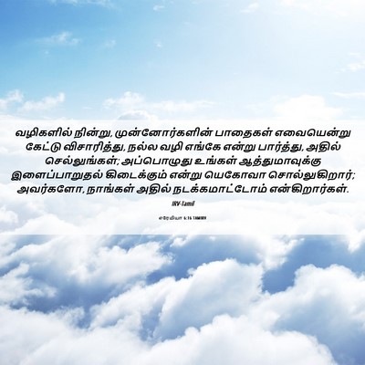 Picture 06 - எரேமியா 6:16 TAMIRV - வழிகளில் நின்று, - Bible Verse Picture