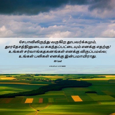 Picture 06 - எரேமியா 6:20 TAMIRV - சேபாவிலிருந்து - Bible Verse Picture