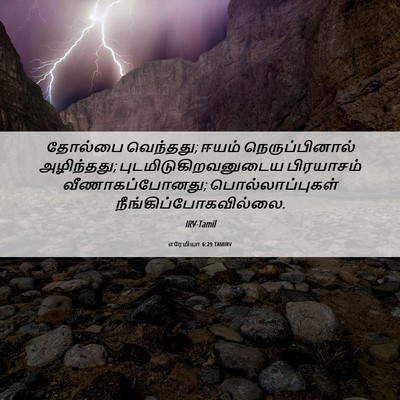 Picture 06 - எரேமியா 6:29 TAMIRV - தோல்பை வெந்தது; - Bible Verse Picture
