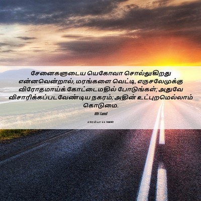 Picture 06 - எரேமியா 6:6 TAMIRV - சேனைகளுடைய யெகோவா - Bible Verse Picture