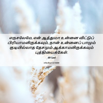 Picture 06 - எரேமியா 6:8 TAMIRV - எருசலேமே, என் - Bible Verse Picture