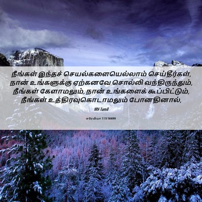 Picture 06 - எரேமியா 7:13 TAMIRV - நீங்கள் இந்தச் - Bible Verse Picture