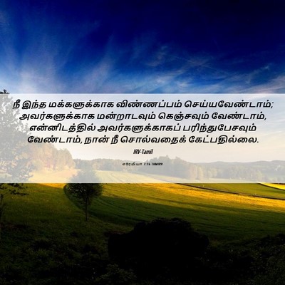Picture 06 - எரேமியா 7:16 TAMIRV - நீ இந்த - Bible Verse Picture