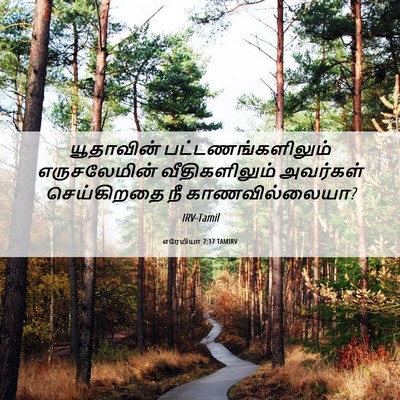Picture 06 - எரேமியா 7:17 TAMIRV - யூதாவின் - Bible Verse Picture