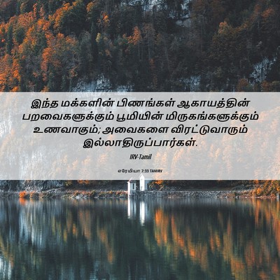 Picture 06 - எரேமியா 7:33 TAMIRV - இந்த மக்களின் - Bible Verse Picture