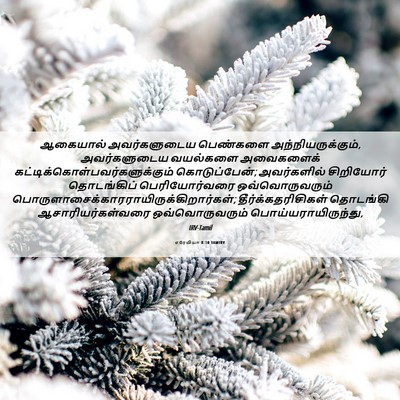 Picture 06 - எரேமியா 8:10 TAMIRV - ஆகையால் - Bible Verse Picture