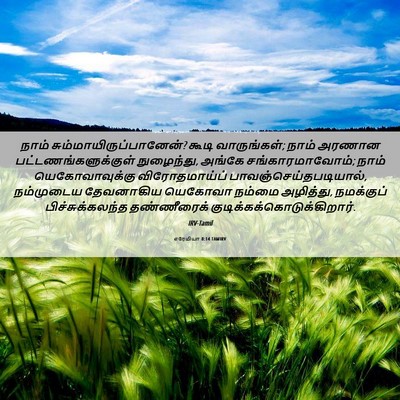 Picture 06 - எரேமியா 8:14 TAMIRV - நாம் - Bible Verse Picture