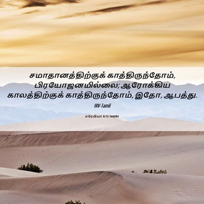 Picture 06 - எரேமியா 8:15 TAMIRV - சமாதானத்திற்குக் - Bible Verse Picture