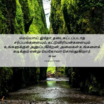 Picture 06 - எரேமியா 8:17 TAMIRV - மெய்யாய், இதோ, - Bible Verse Picture