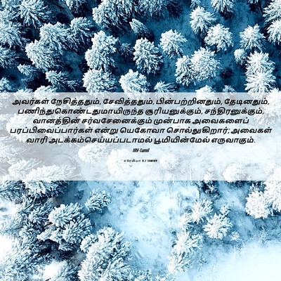 Picture 06 - எரேமியா 8:2 TAMIRV - அவர்கள் - Bible Verse Picture