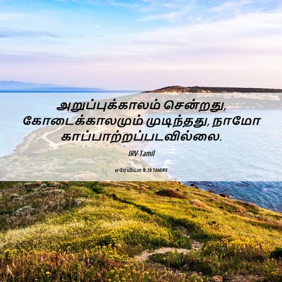 Picture 06 - எரேமியா 8:20 TAMIRV - அறுப்புக்காலம் - Bible Verse Picture