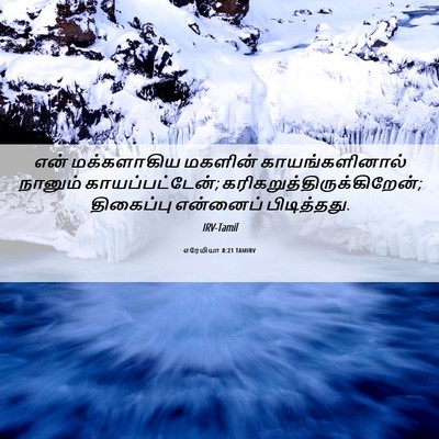 Picture 06 - எரேமியா 8:21 TAMIRV - என் மக்களாகிய - Bible Verse Picture