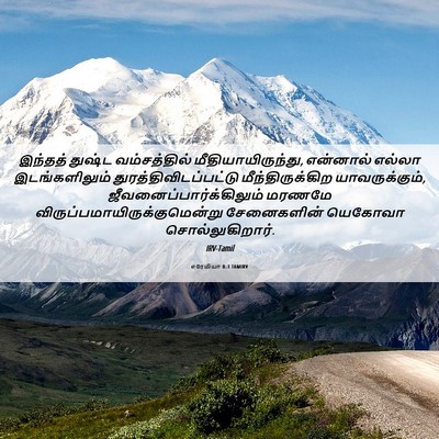 Picture 06 - எரேமியா 8:3 TAMIRV - இந்தத் துஷ்ட - Bible Verse Picture