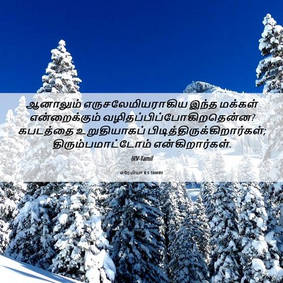 Picture 06 - எரேமியா 8:5 TAMIRV - ஆனாலும் - Bible Verse Picture