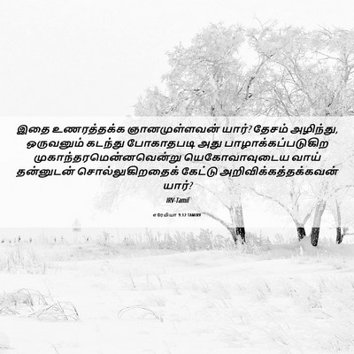 Picture 06 - எரேமியா 9:12 TAMIRV - இதை உணரத்தக்க - Bible Verse Picture
