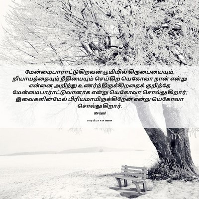 Picture 06 - எரேமியா 9:24 TAMIRV -  - Bible Verse Picture