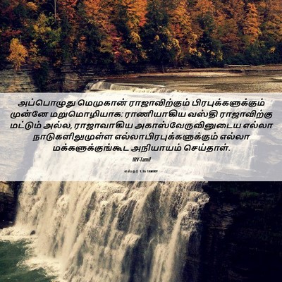 Picture 06 - எஸ்தர் 1:16 TAMIRV - அப்பொழுது - Bible Verse Picture
