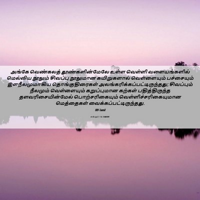 Picture 06 - எஸ்தர் 1:6 TAMIRV - அங்கே வெண்கலத் - Bible Verse Picture