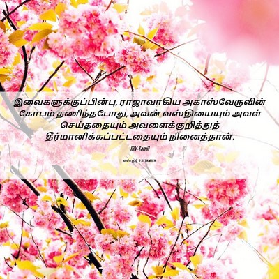 Picture 06 - எஸ்தர் 2:1 TAMIRV -  - Bible Verse Picture
