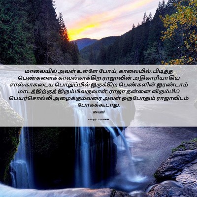 Picture 06 - எஸ்தர் 2:14 TAMIRV - மாலையில் அவள் - Bible Verse Picture
