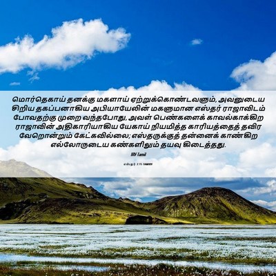 Picture 06 - எஸ்தர் 2:15 TAMIRV - மொர்தெகாய் தனக்கு - Bible Verse Picture