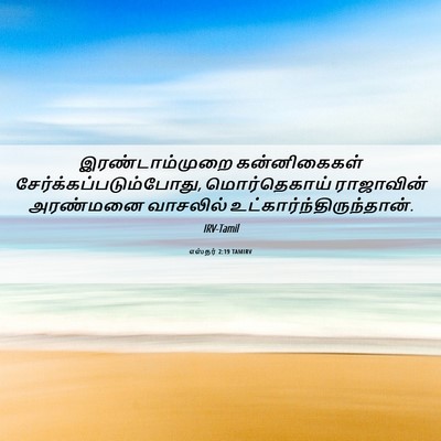 Picture 06 - எஸ்தர் 2:19 TAMIRV - இரண்டாம்முறை - Bible Verse Picture