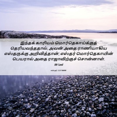 Picture 06 - எஸ்தர் 2:22 TAMIRV - இந்தக் காரியம் - Bible Verse Picture