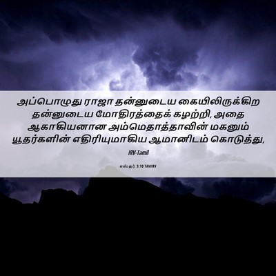 Picture 06 - எஸ்தர் 3:10 TAMIRV - அப்பொழுது ராஜா - Bible Verse Picture