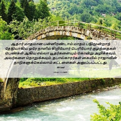 Picture 06 - எஸ்தர் 3:13 TAMIRV - ஆதார் மாதமான - Bible Verse Picture