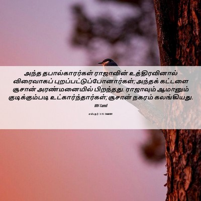 Picture 06 - எஸ்தர் 3:15 TAMIRV - அந்த - Bible Verse Picture