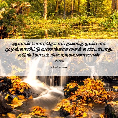 Picture 06 - எஸ்தர் 3:5 TAMIRV - ஆமான் மொர்தெகாய் - Bible Verse Picture
