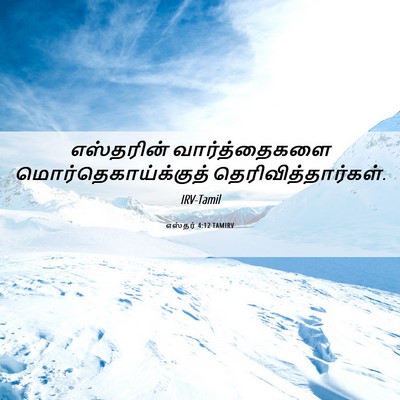 Picture 06 - எஸ்தர் 4:12 TAMIRV - எஸ்தரின் - Bible Verse Picture
