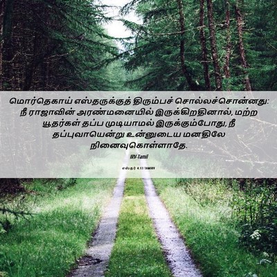 Picture 06 - எஸ்தர் 4:13 TAMIRV - மொர்தெகாய் - Bible Verse Picture