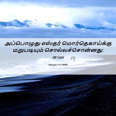 Picture 06 - எஸ்தர் 4:15 TAMIRV - அப்பொழுது எஸ்தர் - Bible Verse Picture