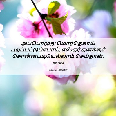 Picture 06 - எஸ்தர் 4:17 TAMIRV - அப்பொழுது - Bible Verse Picture