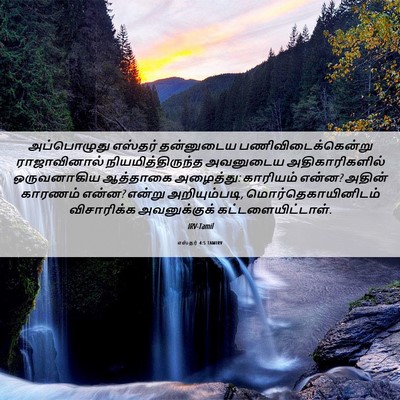 Picture 06 - எஸ்தர் 4:5 TAMIRV - அப்பொழுது எஸ்தர் - Bible Verse Picture