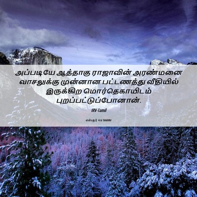 Picture 06 - எஸ்தர் 4:6 TAMIRV - அப்படியே ஆத்தாகு - Bible Verse Picture