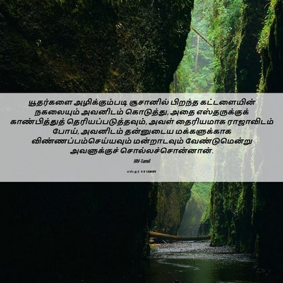 Picture 06 - எஸ்தர் 4:8 TAMIRV - யூதர்களை - Bible Verse Picture